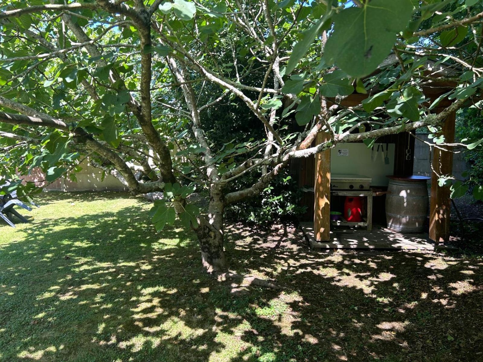 Jolie Maison Le Teich Bassin Park/Wifi Exterior photo